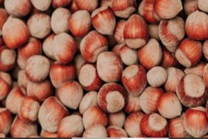 Hazelnuts from Turkey